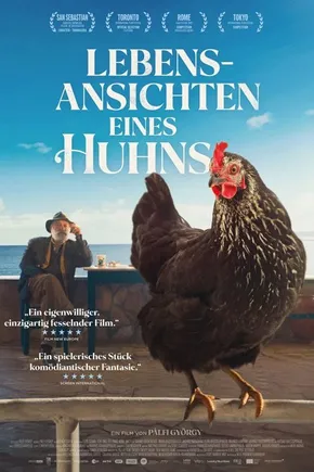 Poster: Lebensansichten eines Huhns