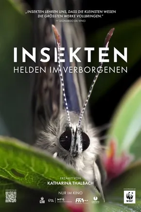 Poster: Insekten - Helden im Verborgenen