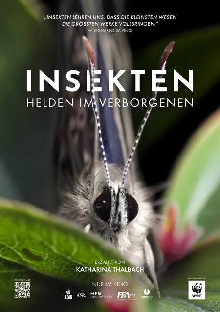 Filmplakat: Insekten - Helden im Verborgenen